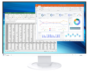 EIZO FlexScan EV2410R-WT - monitor 24,1", 1920 x 1200, FullHD, 16:10, (biały) (EV2410R-WT)