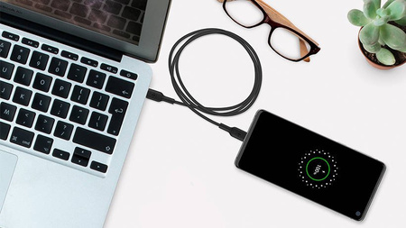 Belkin kabel PCV USB-C / USB-C 2.0, M/M, 2M - biały (CAB003BT2MWH)