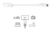Kanex przejściówka z USB-C na USB żeński (21 cm) (KU3CA107I)