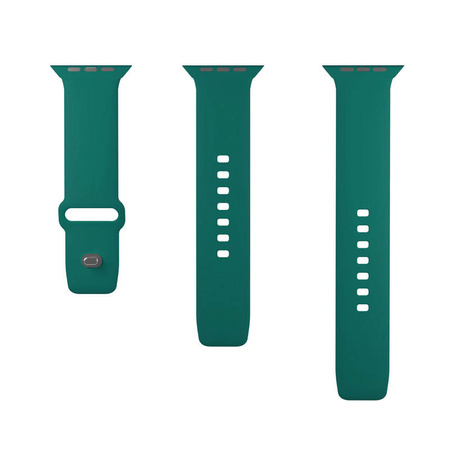 PURO ICON - Elastyczny pasek do Apple Watch 44/45/46/49 mm (S/M & M/L) (Jade) (PUICNAW44DKGRN)