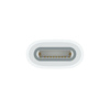 Apple Przejściówka z USB‑C na Apple Pencil (MWML3ZM/A)