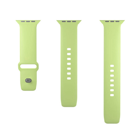 PURO ICON - Elastyczny pasek do Apple Watch 44/45/46/49 mm (S/M & M/L) (Matcha Green) (PUICNAW44LGRN)