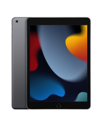 Apple iPad 10.2" Wi-Fi 256GB (9 gen. 2021) - Gwiezdna szarość (MK2N3FD/A)