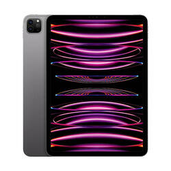 iPad Pro 11  cali Wi-Fi 2 TB Gwiezdna szarość (MNXM3FD/A)